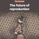 The future of reproduction, a stylized image for The Forecast email.